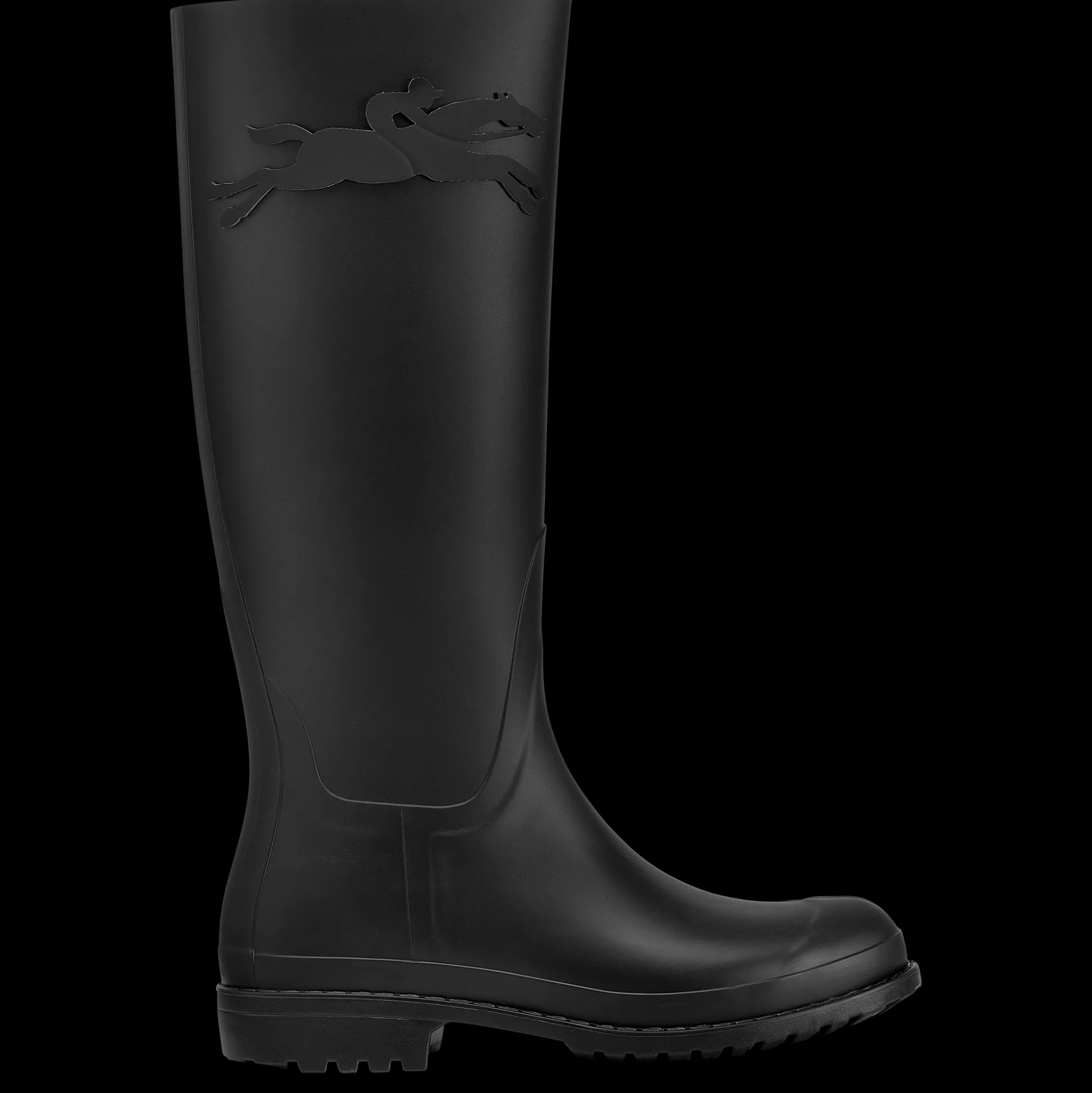 Flache Stiefel Cheval Longchamp