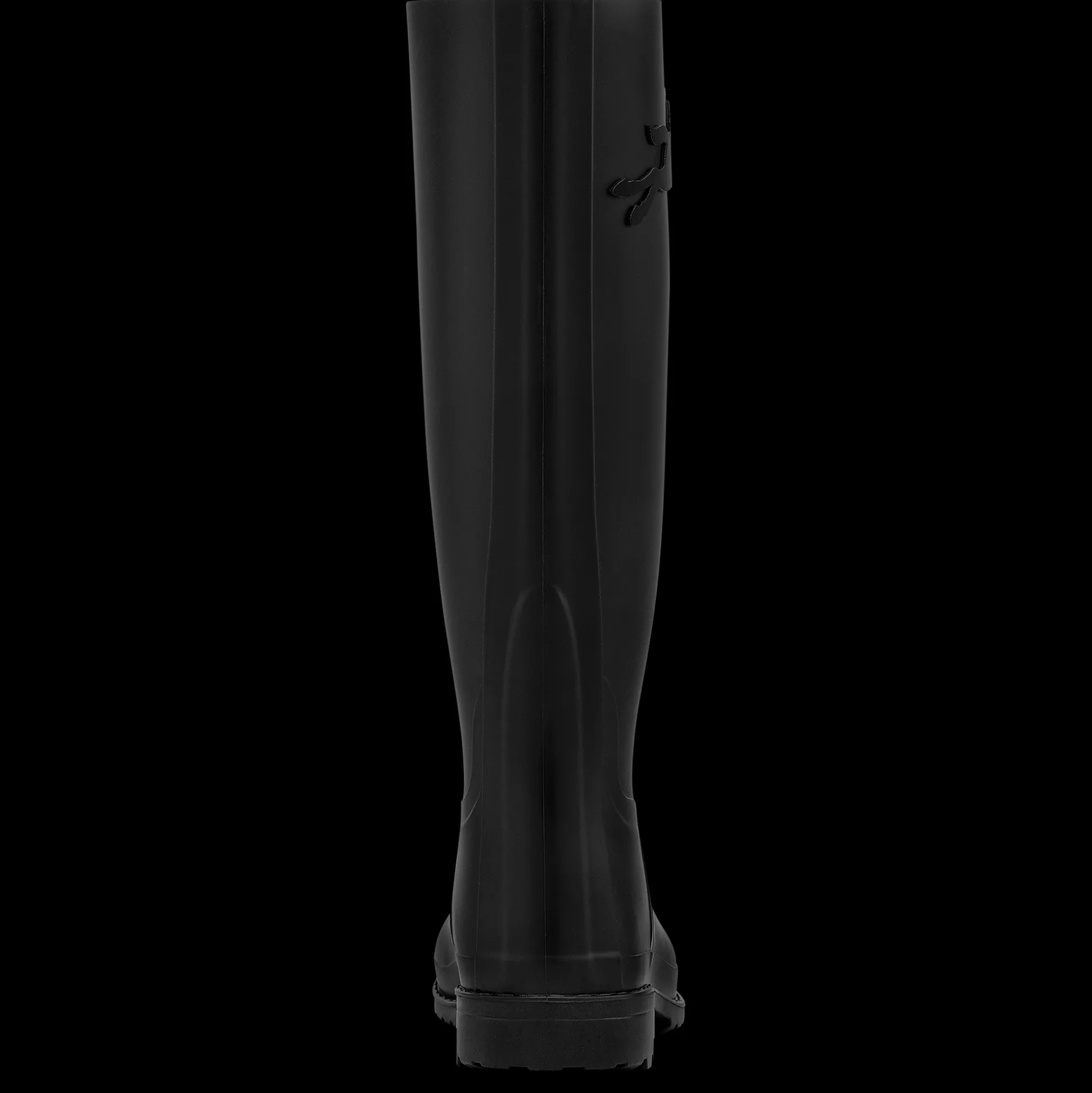 Flache Stiefel Cheval Longchamp